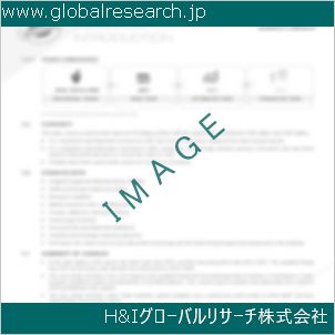 グローバルリサーチ調査資料のイメージ